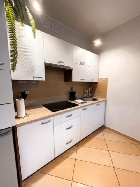 Apartament Hanna 코워브제크 외부 사진